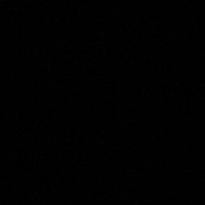 Meet your Posher, Cassidy